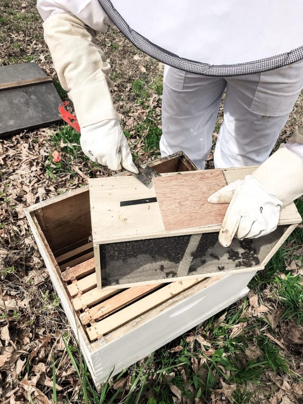 Introducing New Bees to the Bee Yard